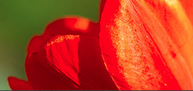 平台在线ddos压力测试